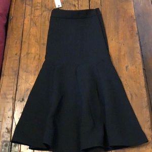 Fun Flared Talbots Skirt!  - New!